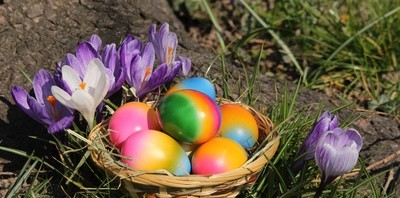 Frohe  Ostern  wünscht Euch der MGV Liederkranz